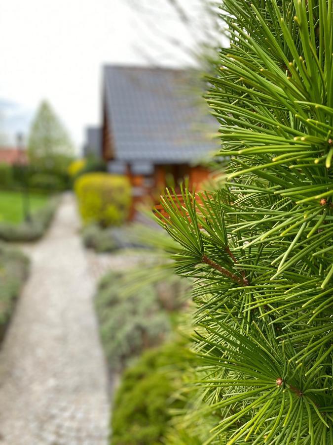 Domki U Basi Kudowa-Zdrój Exterior foto